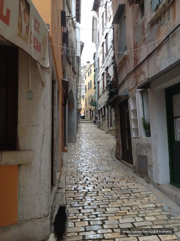 photo 1228685