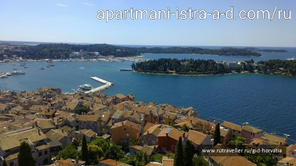 photo 1229312