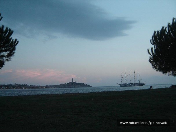 photo 1229316