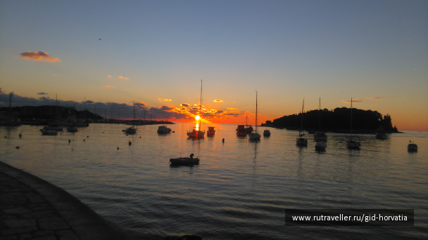 photo 1239416