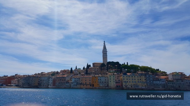 photo 1283567