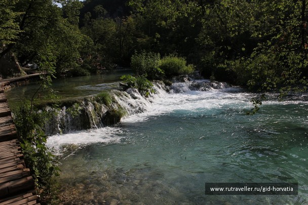 photo 1229404