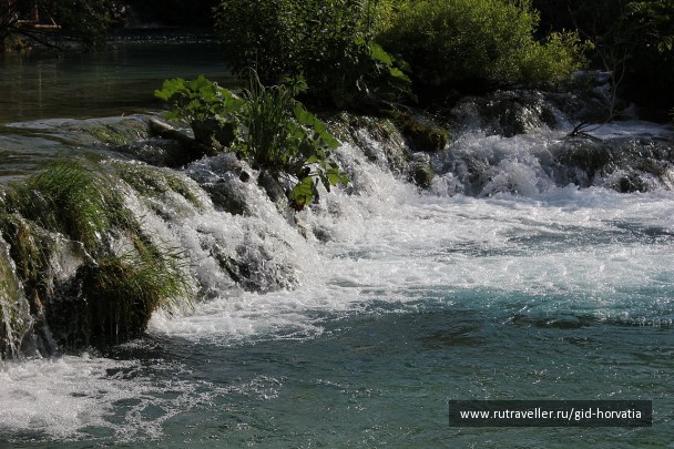 photo 1229405