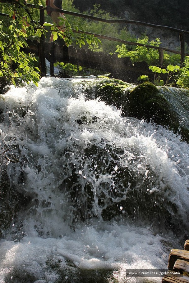 photo 1229406