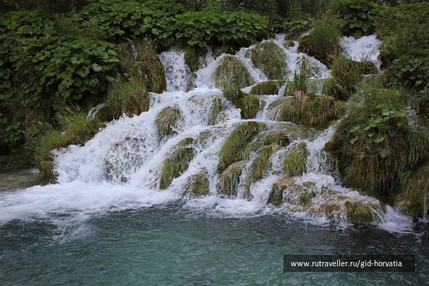 photo 1229410
