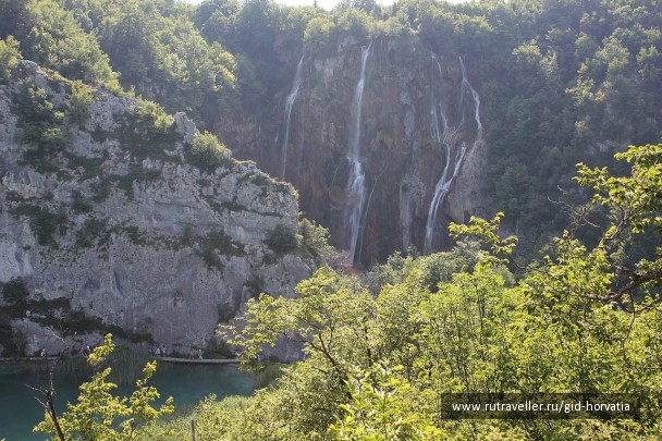 photo 1229419