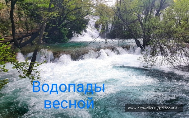 photo 1430268