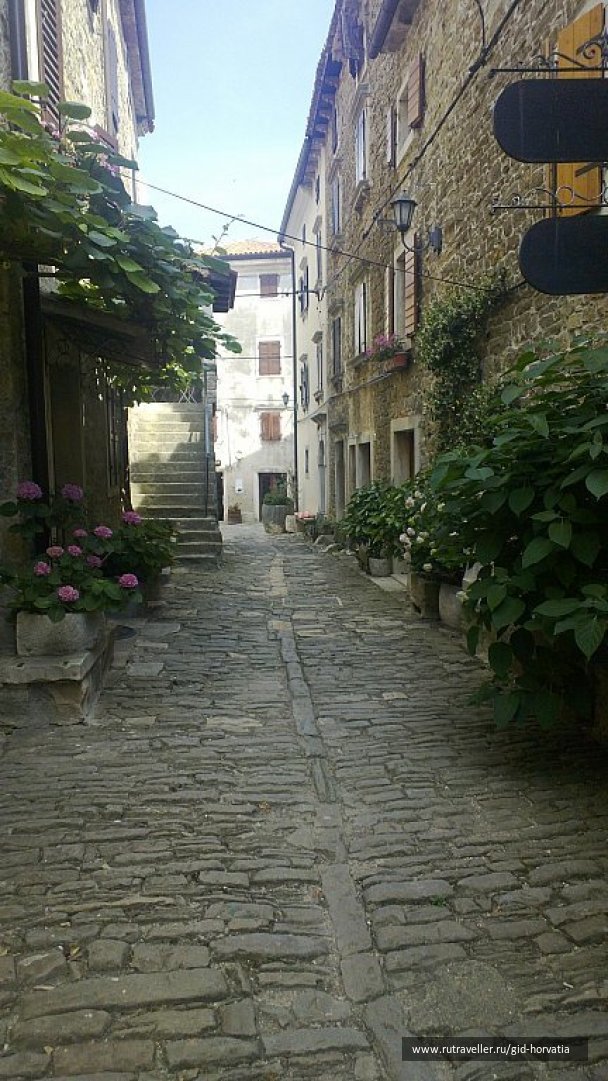 photo 1229478