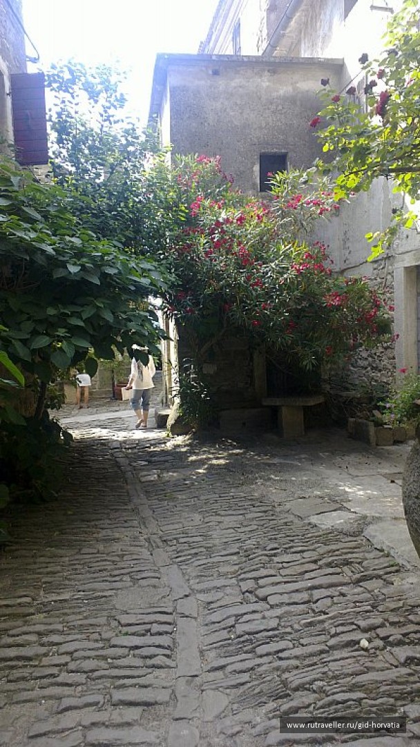 photo 1229479