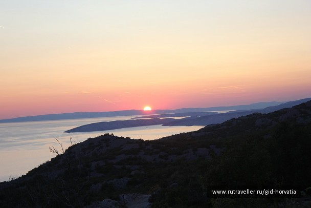 photo 1229721