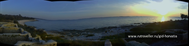 photo 1242654