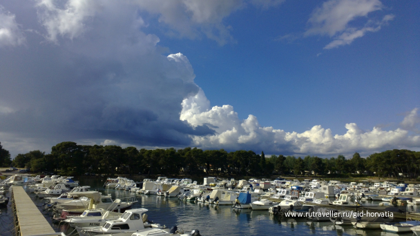 photo 1237336
