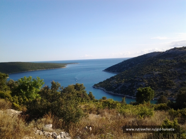 photo 1239499