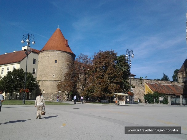photo 1230436