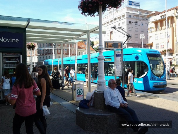 photo 1230445
