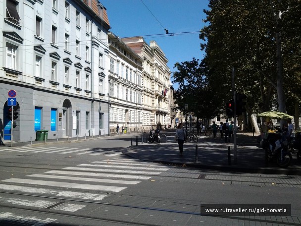 photo 1230449