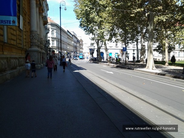 photo 1230450