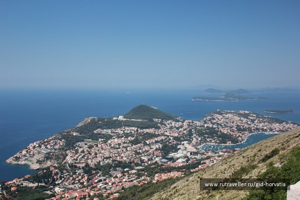 photo 1230782