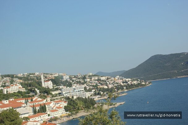 photo 1230784