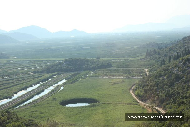 photo 1230789