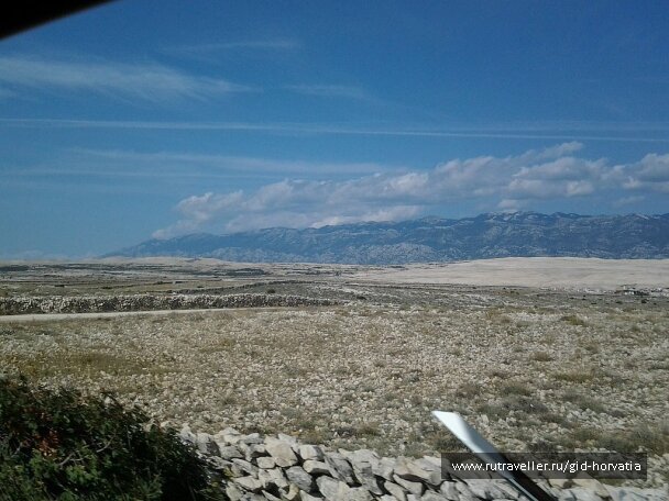 photo 1236516