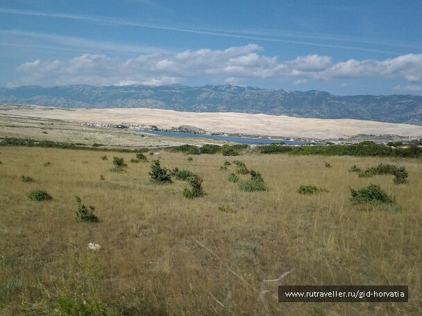 photo 1236517
