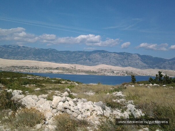 photo 1236518