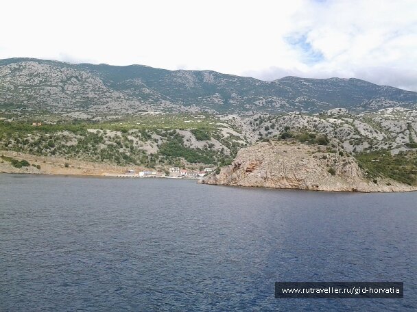 photo 1236523
