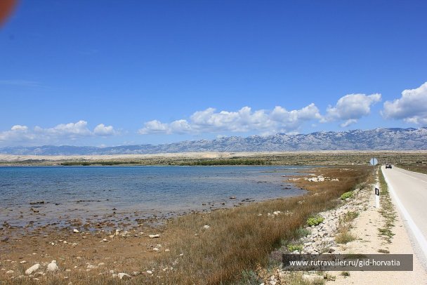 photo 1236773