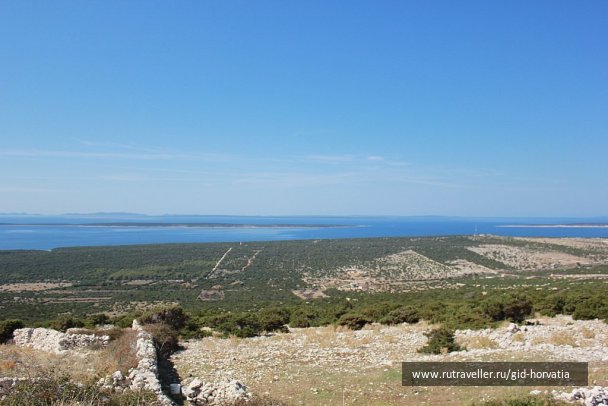photo 1236789