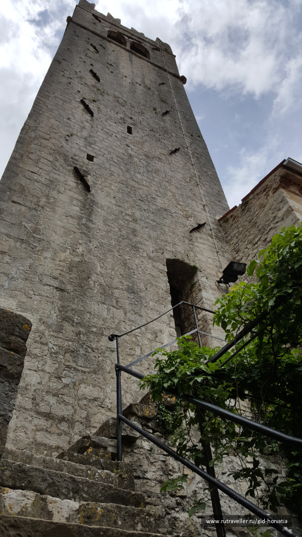 photo 1318647