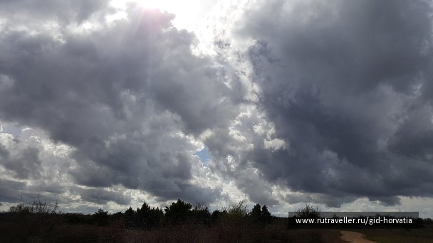 photo 1247537