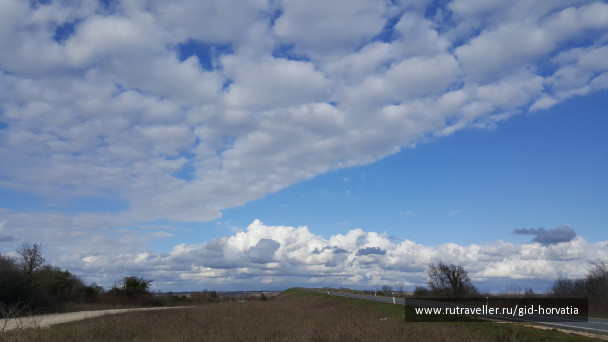 photo 1248146