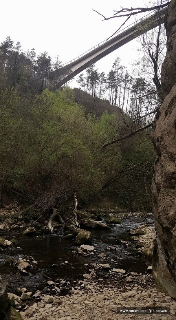 photo 1272977