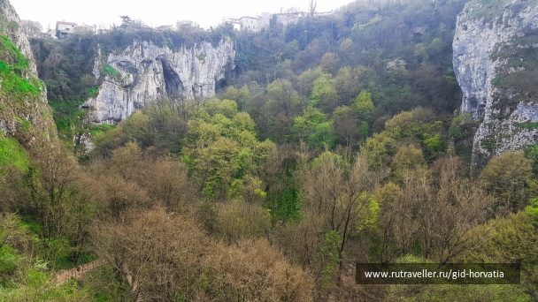 photo 1273224
