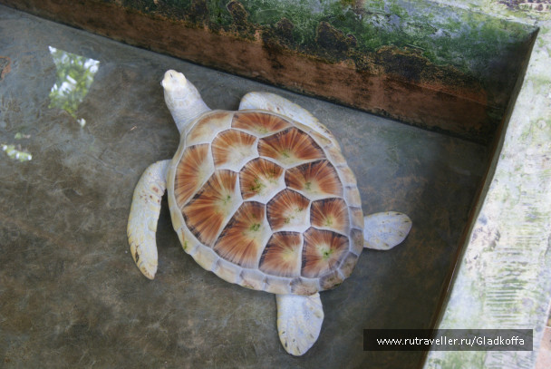 photo 322464