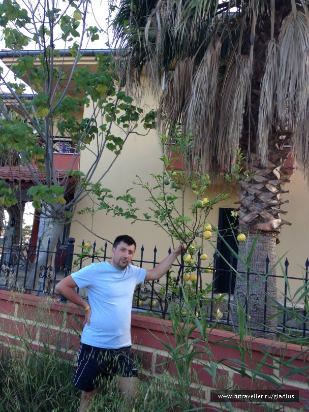 photo 744679