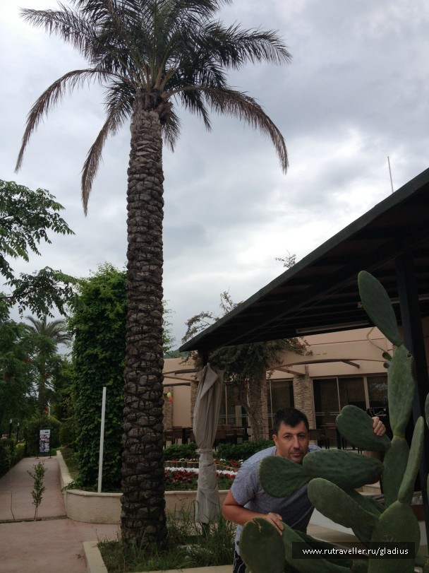 photo 744690