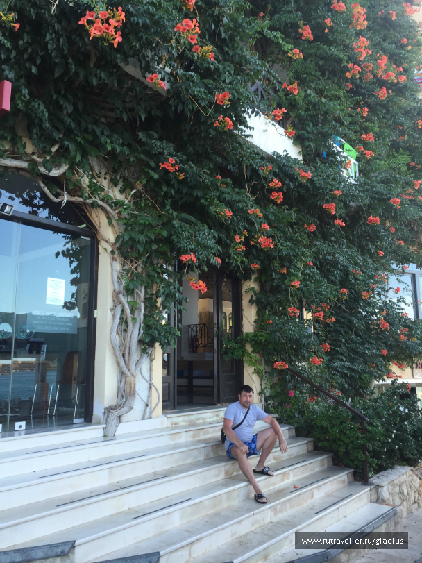 photo 1338445