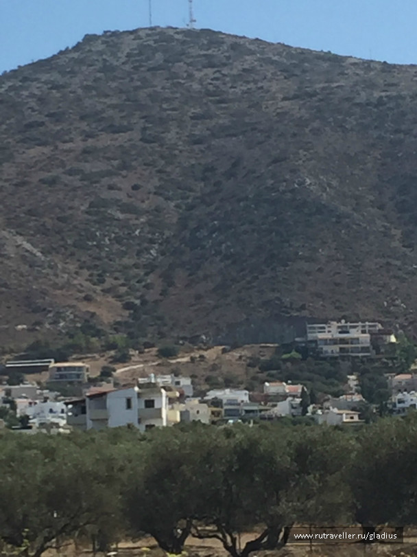 photo 1338448