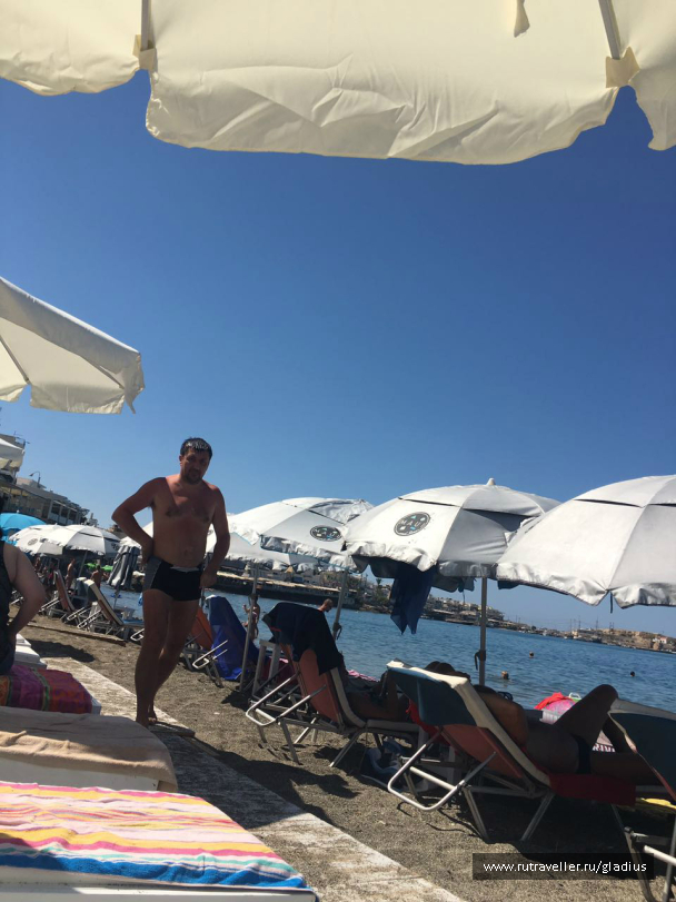 photo 1338461