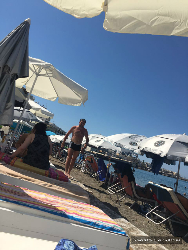 photo 1338462