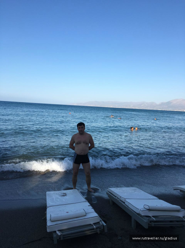 photo 1338501