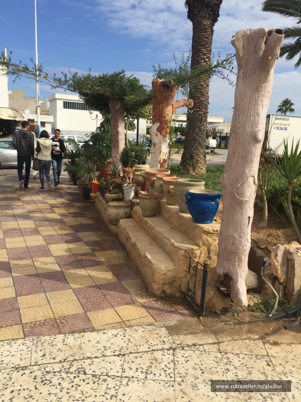 photo 1407822