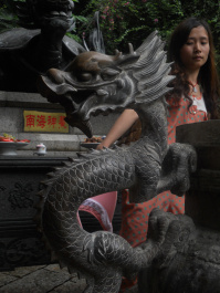photo 105799