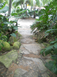 photo 108118