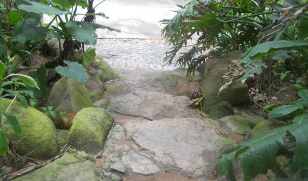 sanya006 258