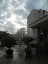 photo 248934