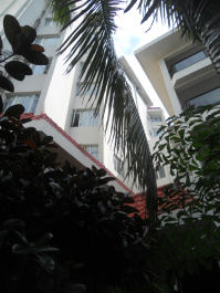 photo 252086