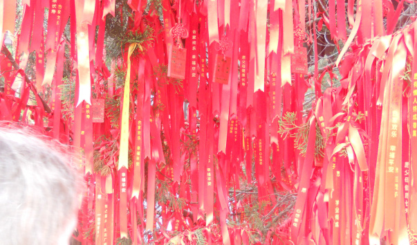 sanya006 234